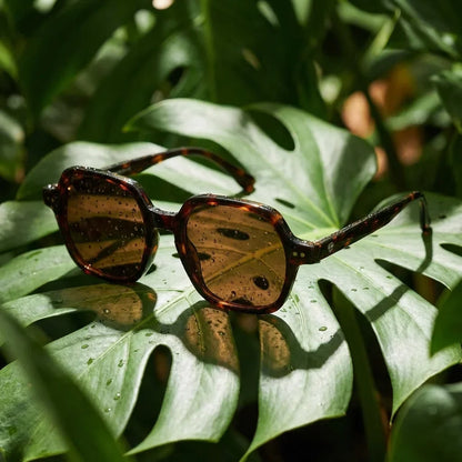 Canarias geometric polarized sunglasses, bio-acetate frame · ReFramed, photo 22 of 30