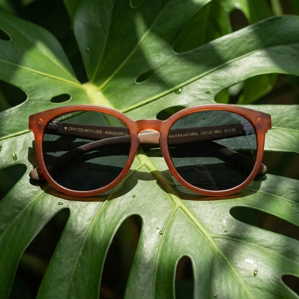 Meli Wine round polarized sunglasses in recycled plastic and natural wood · ReFramed, photo 15 of 30