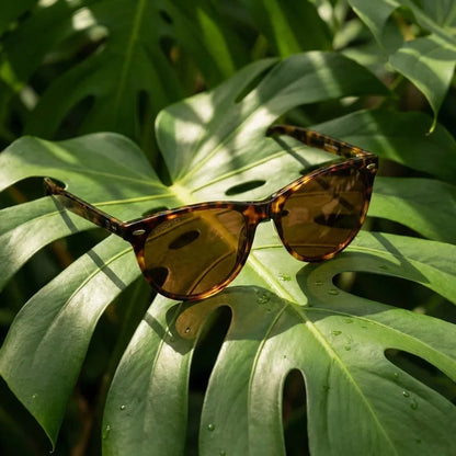 Hanga Roa cat eye polarized sunglasses in bio-acetate and natural wood · ReFramed, photo 24 of 30