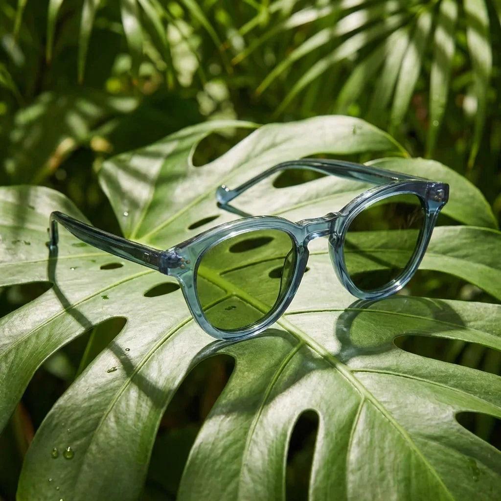 Lenga Oval Polarized Sunglasses in Bio-Acetate