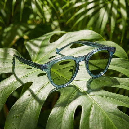 Lenga Oval Polarized Sunglasses in Bio-Acetate