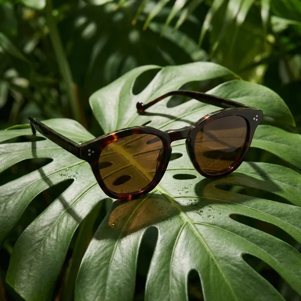 Lenga Oval Polarized Sunglasses in Bio-Acetate