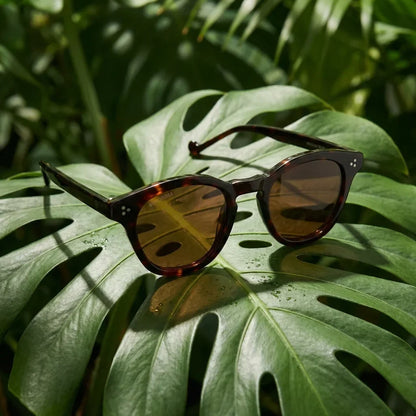 Lenga Oval Polarized Sunglasses in Bio-Acetate