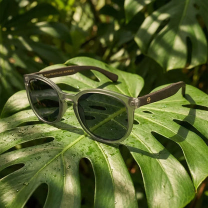 Meli TSP round polarized sunglasses in recycled plastic and natural wood · ReFramed, photo 27 of 30