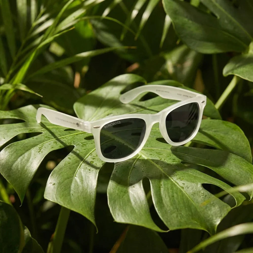 Acacia RPET Clear wayfarer-style polarized sunglasses in recycled plastic · ReFramed, photo 10 of 22