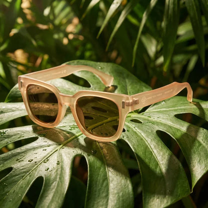 Osorno RPET rectangular polarized sunglasses in recycled plastic · ReFramed, photo 15 of 30