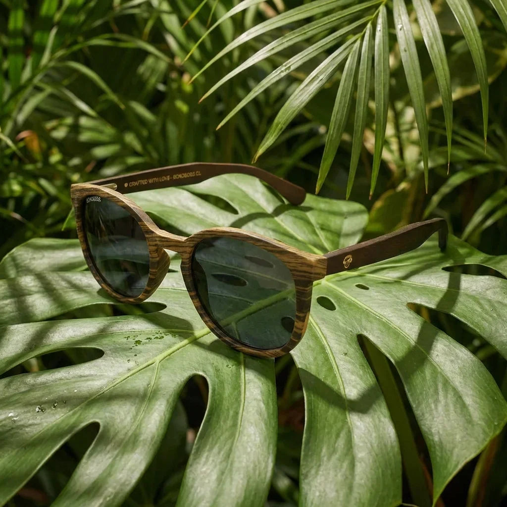 Meli Ebony round polarized sunglasses in recycled plastic and natural wood · ReFramed, photo 20 of 30