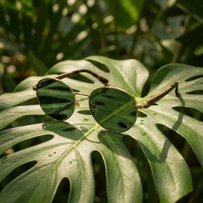 Harry Gold round sunglasses, stainless steel, bio-acetate and natural wood · ReFramed, photo 14 of 24
