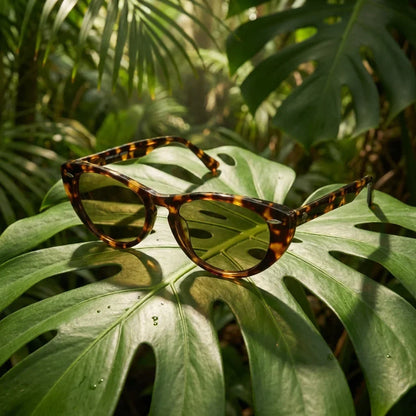 Havana cat eye sunglasses with polarized lenses, bio-acetate frame · ReFramed, photo 26 of 30