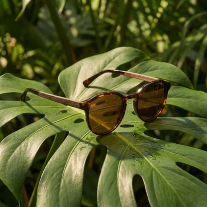 Galápagos geometric polarized sunglasses in bio-acetate and natural wood · ReFramed, photo 17 of 30