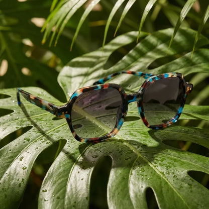 Canarias geometric polarized sunglasses, bio-acetate frame · ReFramed, photo 29 of 30