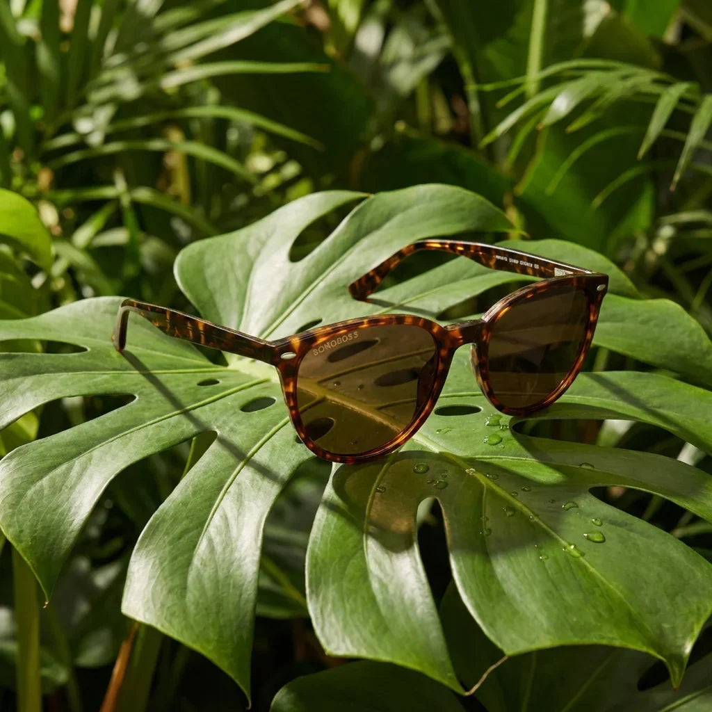 Henua cat eye sunglasses with polarized lenses, bio-acetate frame · ReFramed, photo 7 of 30