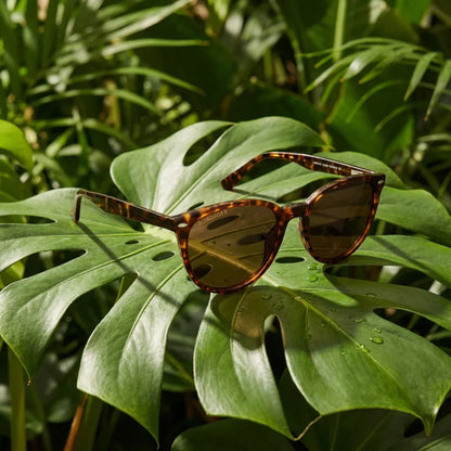 Henua cat eye sunglasses with polarized lenses, bio-acetate frame · ReFramed, photo 7 of 30
