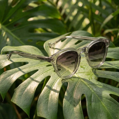 Lenga Oval Polarized Sunglasses in Bio-Acetate