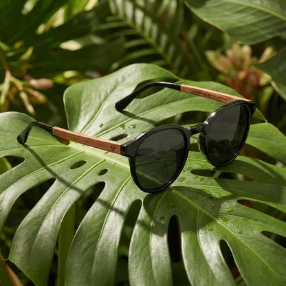 Galápagos geometric polarized sunglasses in bio-acetate and natural wood · ReFramed, photo 10 of 30