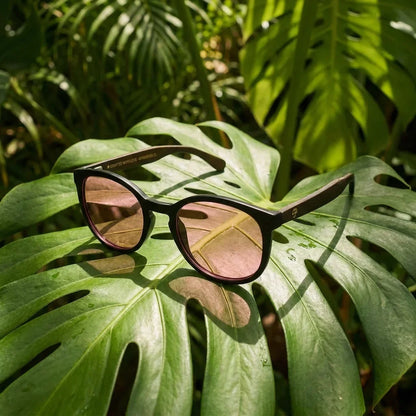 Meli Dark Round Polarized Sunglasses