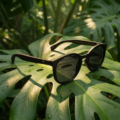 Meli Dark Round Polarized Sunglasses