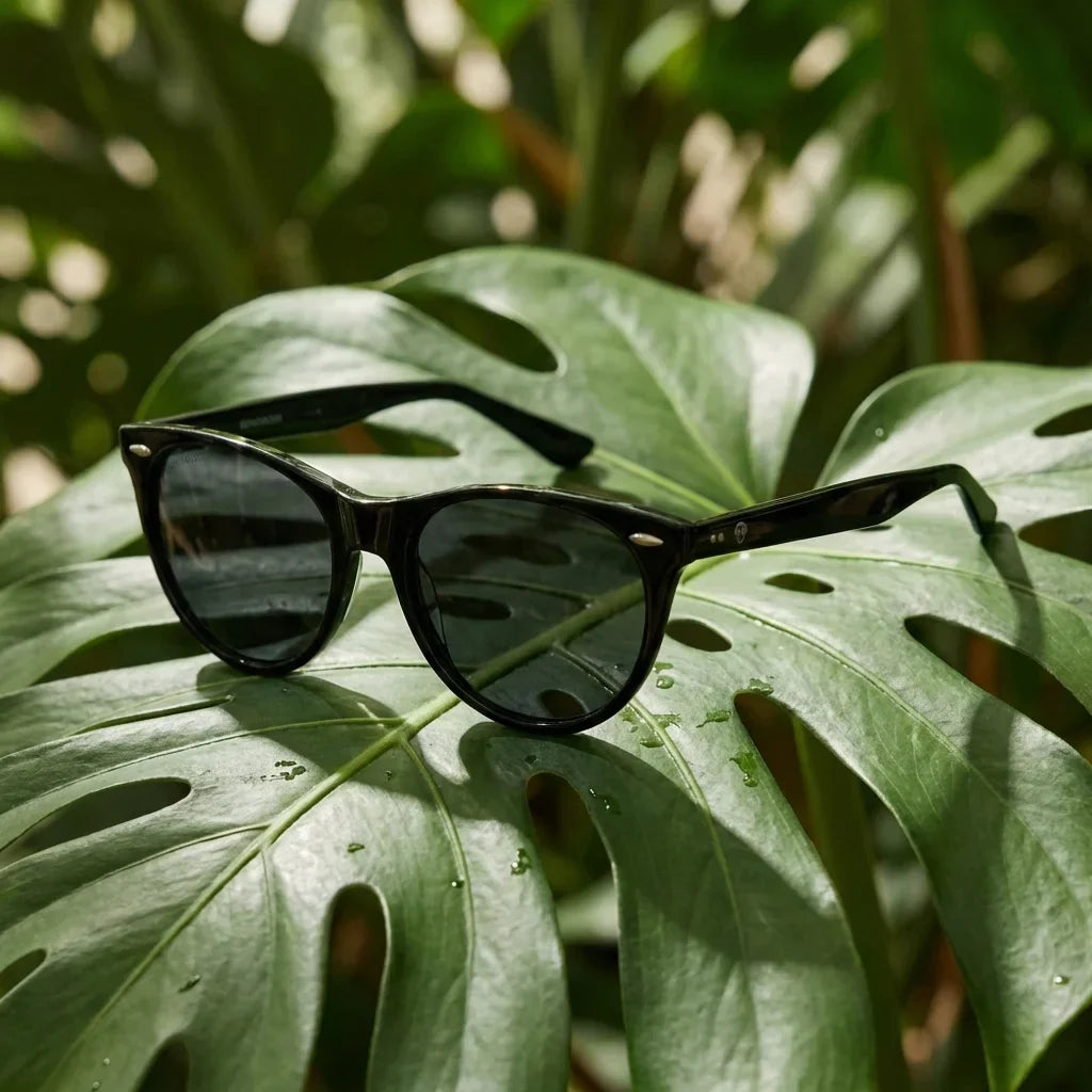 Hanga Roa cat eye polarized sunglasses in bio-acetate and natural wood · ReFramed, photo 17 of 30