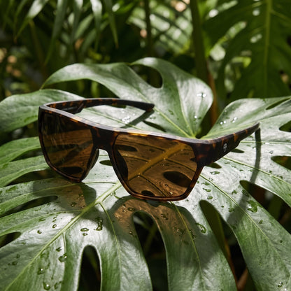Andes Geometric Polarized Sunglasses in TR90