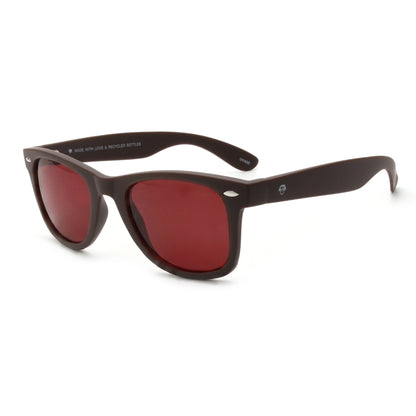 Acacia RPET Brown Wayfarer-Style Polarized Sunglasses