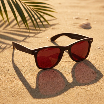 Acacia RPET Brown Wayfarer-Style Polarized Sunglasses