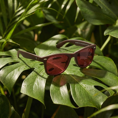 Acacia RPET Brown Wayfarer-Style Polarized Sunglasses