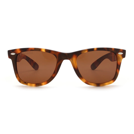 Acacia RPET Carey wayfarer-style polarized sunglasses in recycled plastic · ReFramed, photo 1 of 30