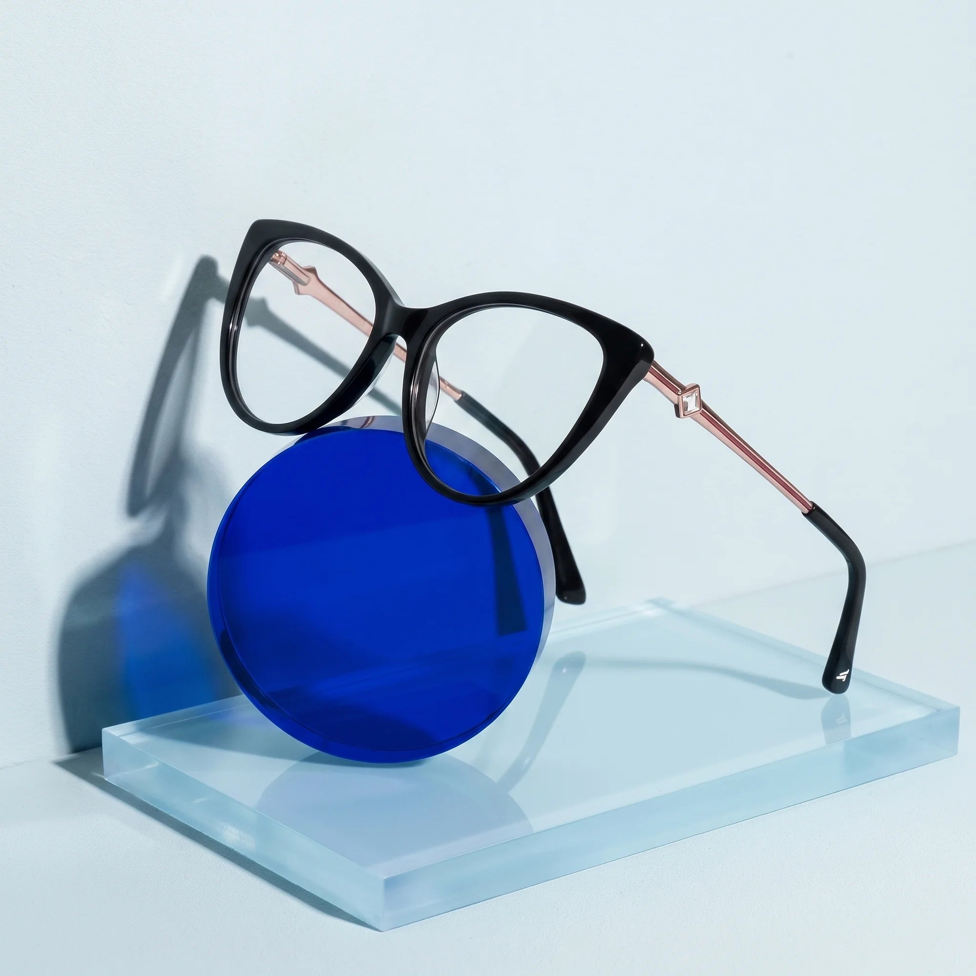Fiore 1031 eyeglasses in black – on a cobalt acrylic disc in soft daylight