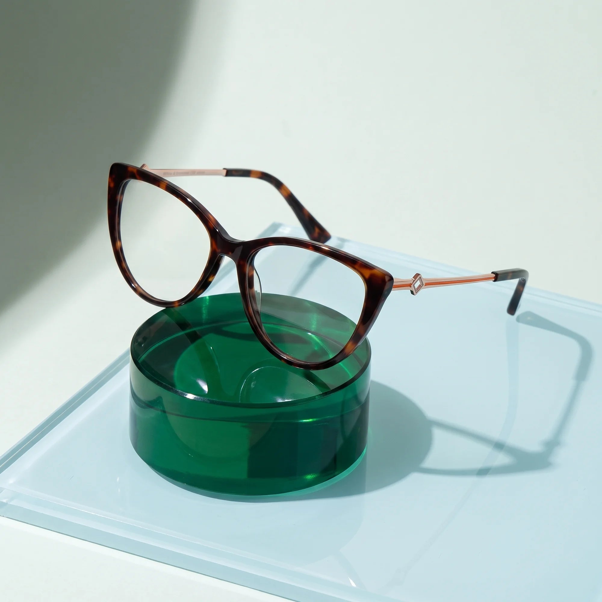 Fiore 1031 eyeglasses in tortoiseshell – on a cobalt acrylic disc in soft daylight