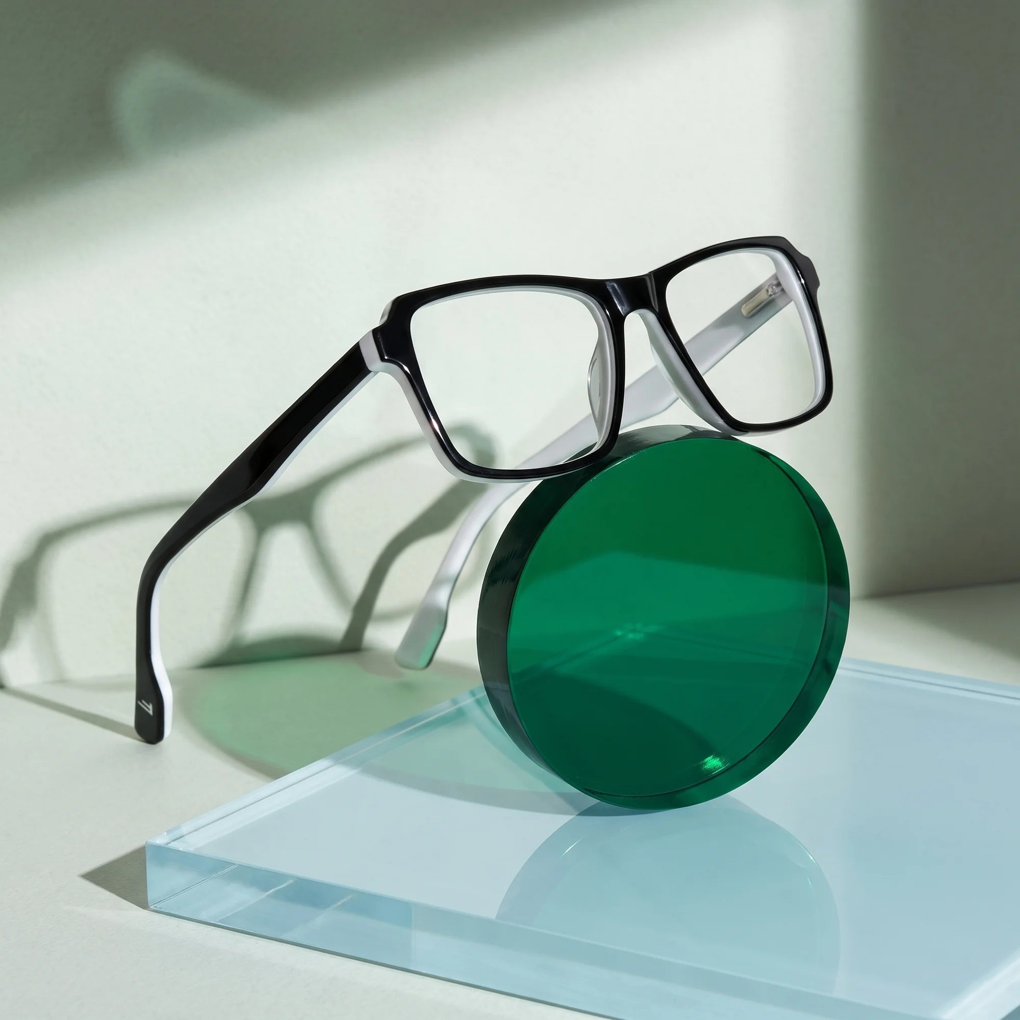 Fiore 1038 eyeglasses in black white – on a cobalt acrylic disc in soft daylight