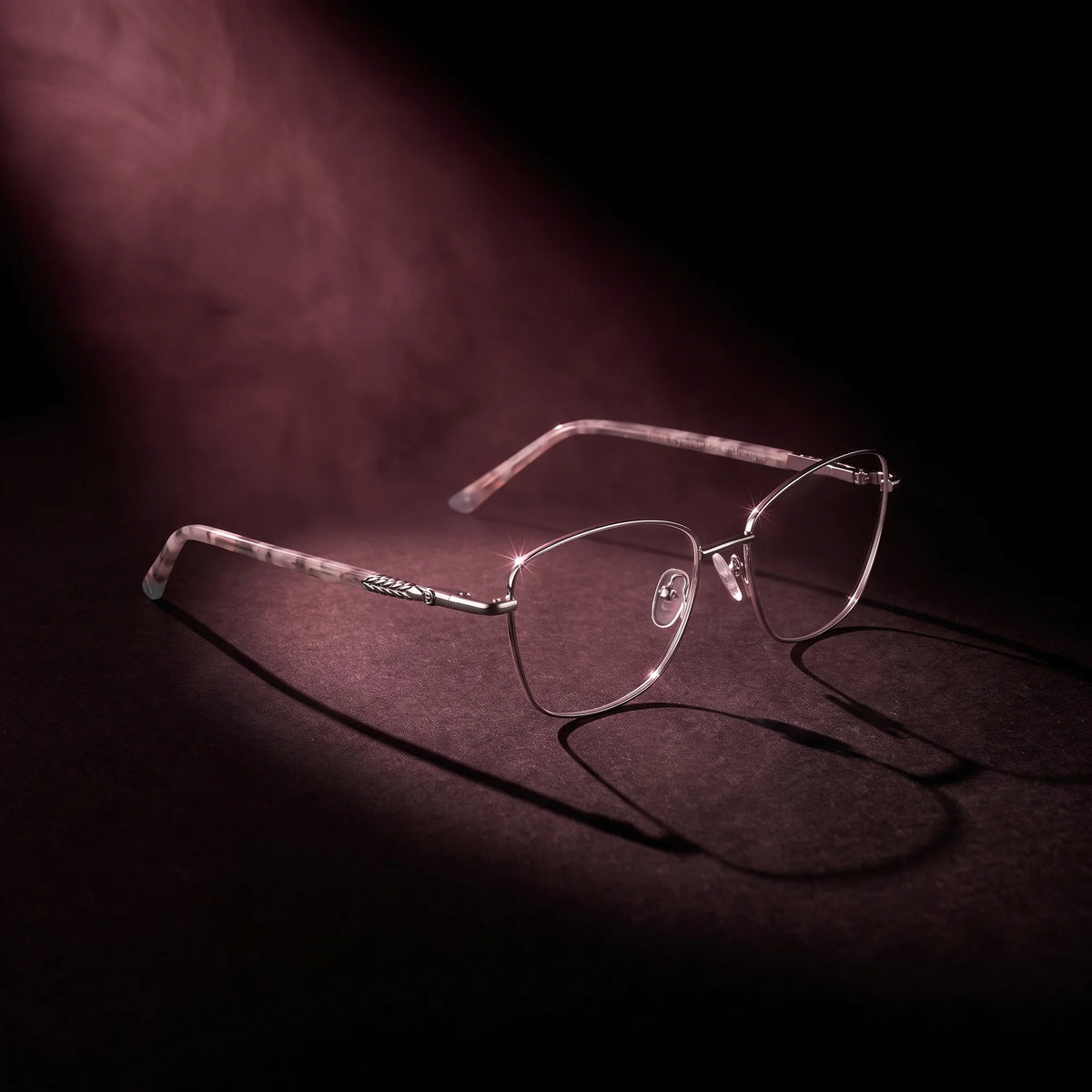 Fiore 2210 eyeglasses in silver black – under a theatrical beam of light
