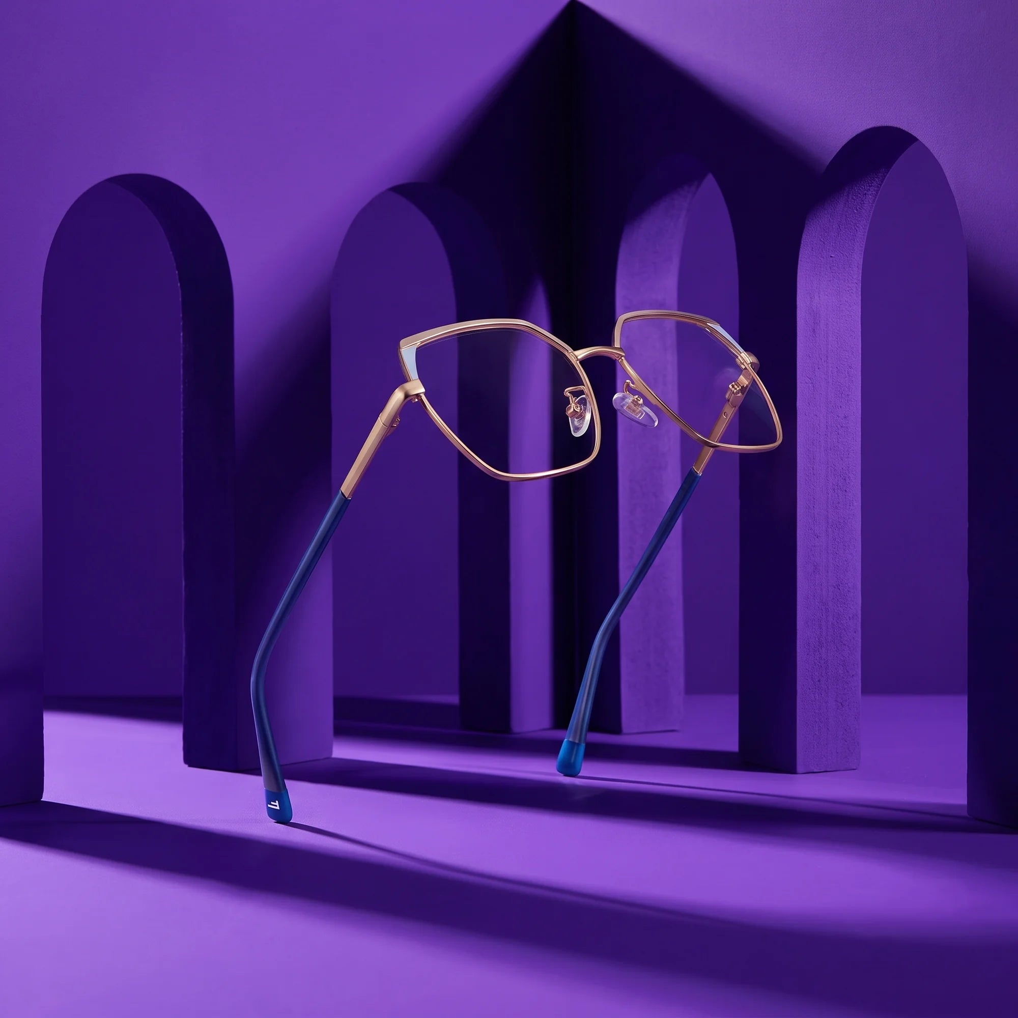 Fiore 3971 eyeglasses in grey gold – still life among monochrome violet arches