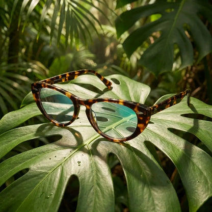 Havana cat-eye bio-acetate reading glasses, tortoise frame · ReFramed, photo 30 of 32