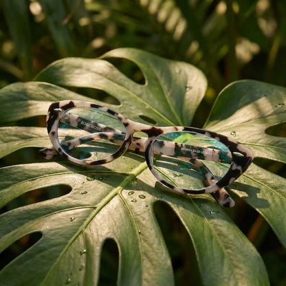 Havana cat-eye bio-acetate reading glasses, marble frame · ReFramed, photo 21 of 32