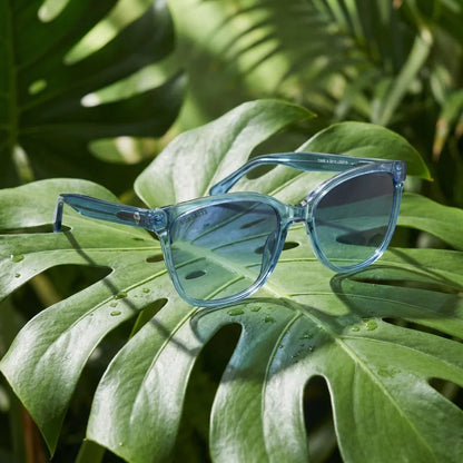 Tiare Cat Eye Polarized Sunglasses in Bio-Acetate