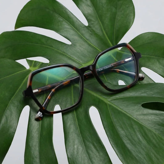 Alba geometric eyeglass frames in bio-acetate by ReFramed · ReFramed, photo 1 of 17