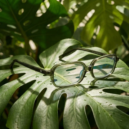 Navarino rectangular bio-acetate reading glasses, green frame · ReFramed, photo 47 of 50