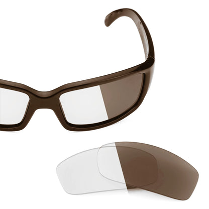 Costa Caballito replacement lenses — Adapt Brown Photochromic lens | ReFramed