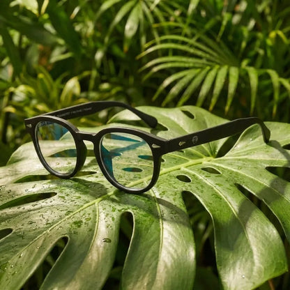 Waimea RPET Round Eyeglass Frames in Recycled Plastic