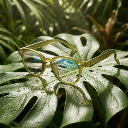 Waimea RPET Round Eyeglass Frames in Recycled Plastic